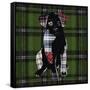 Canvas Black