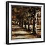 Black Frame