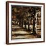 Brown Frame