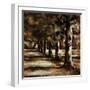 White Frame