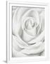 Gramercy White