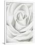 Gramercy White