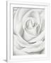Gramercy White