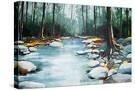 Stretched Canvas