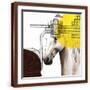 Brown Frame