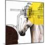 Wood Mount