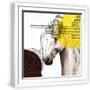 White Frame