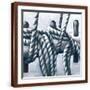 Brown Frame