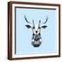 Brown Frame