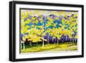 Black Frame