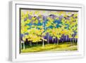 White Frame