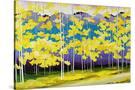 Stretched Canvas