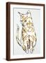 Brown Frame