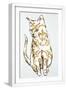 White Frame