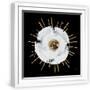 White Frame