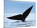 Wood Mount