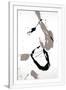Gramercy White
