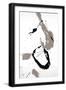Black Frame