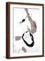 Brown Frame