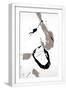 White Frame