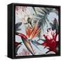 Canvas Black