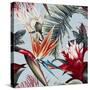 Stretched Canvas