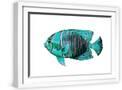 White Frame