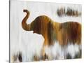 Stretched Canvas