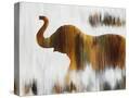 Stretched Canvas
