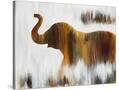 Stretched Canvas