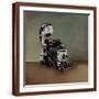 Brown Frame