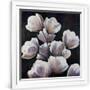 Gramercy White