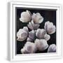 White Frame