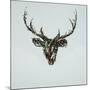Wood Mount