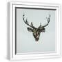 White Frame