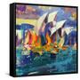 Sydney Flying Colours, 2012-Peter Graham-Framed Stretched Canvas