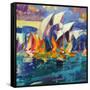 Sydney Flying Colours, 2012-Peter Graham-Framed Stretched Canvas