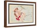 Brown Frame