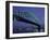 Sydney Harbour Bridge, Sydney, Australia-null-Framed Premium Photographic Print