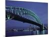 Sydney Harbour Bridge, Sydney, Australia-null-Mounted Photographic Print