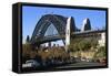 Sydney Harbour Bridge View from the Rocks Area-null-Framed Stretched Canvas