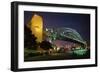 Sydney Harbour Bridge-W. Perry Conway-Framed Photographic Print