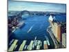 Sydney Harbour, Pm, 1995-Ted Blackall-Mounted Giclee Print