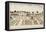 Sydney, Home of the Governor of New South Wales,. Australia, 19th Century-null-Framed Stretched Canvas