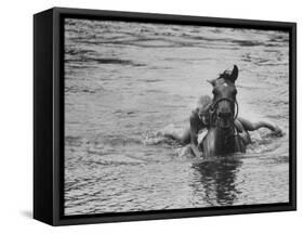 Sydney Hoyle Floundering on Back of Horse in Water at Full Cry Farm-Art Rickerby-Framed Stretched Canvas