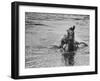 Sydney Hoyle Floundering on Back of Horse in Water at Full Cry Farm-Art Rickerby-Framed Photographic Print