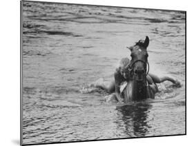 Sydney Hoyle Floundering on Back of Horse in Water at Full Cry Farm-Art Rickerby-Mounted Photographic Print