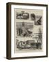 Sydney Illustrated-null-Framed Giclee Print