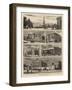 Sydney Illustrated-null-Framed Giclee Print