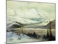 Wood Mount